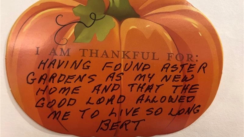 Pumpkin with text on it that says,