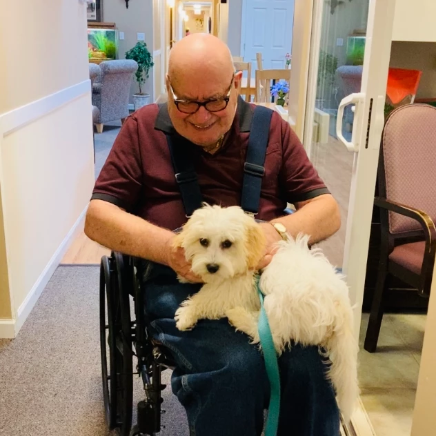 A senior man playing with a dog